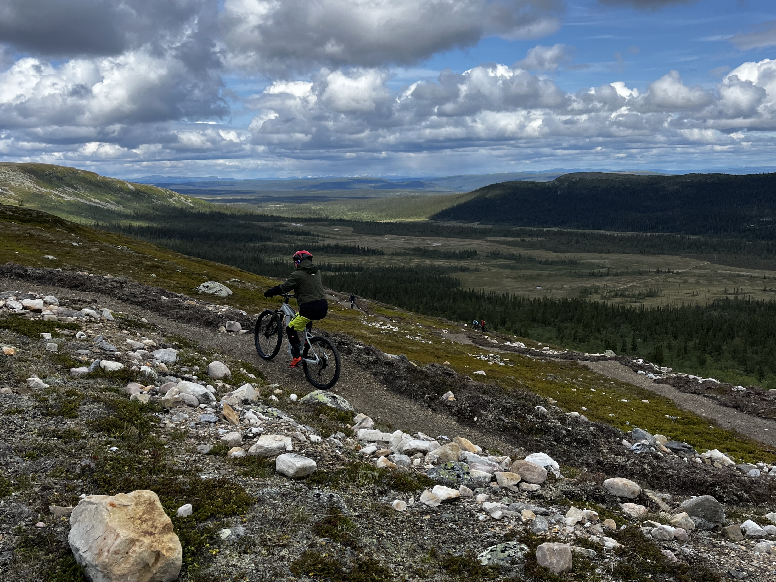 Mountain biker biking uphill above the treeline.