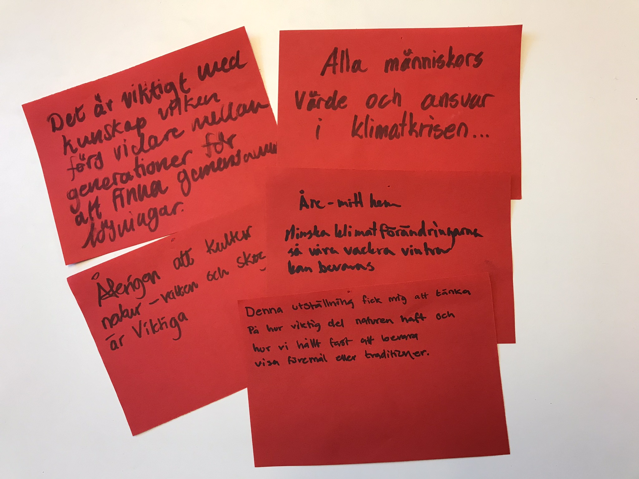 The image shows red notes with texts from visitors to the exhibition Gaskelaante